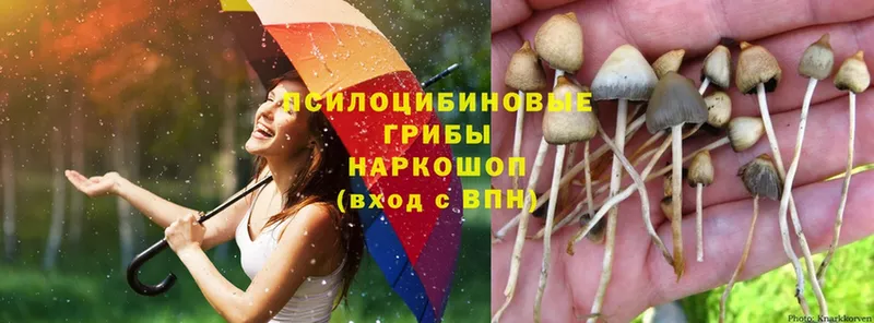 ОМГ ОМГ как зайти  Северодвинск  Псилоцибиновые грибы Psilocybe 